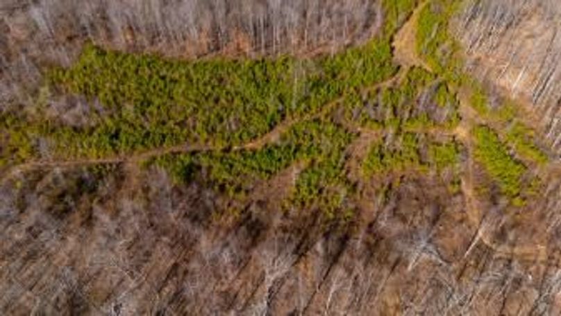 MCKINNON TRACT 15-19