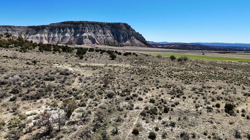 DJI_20240403111838_0155_D