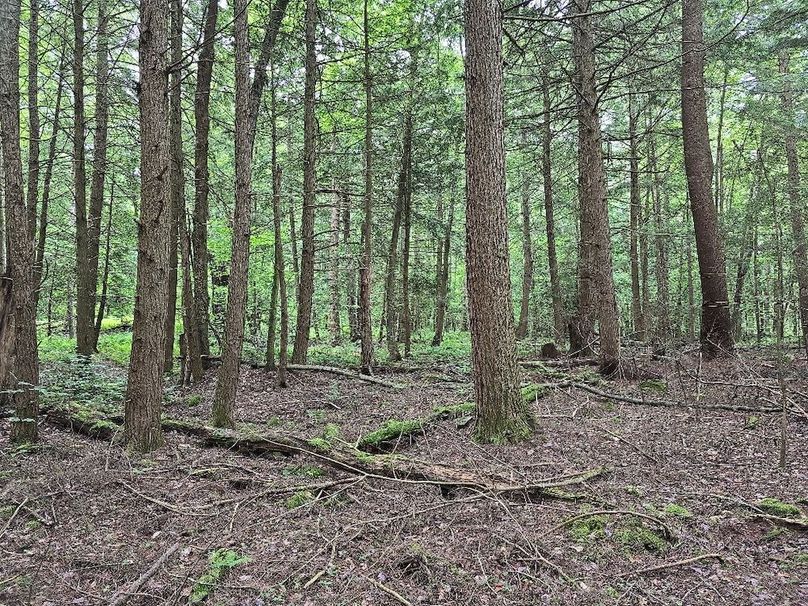 photo_7dce5cff-e839-4979-b3e4-e513a19c0c83