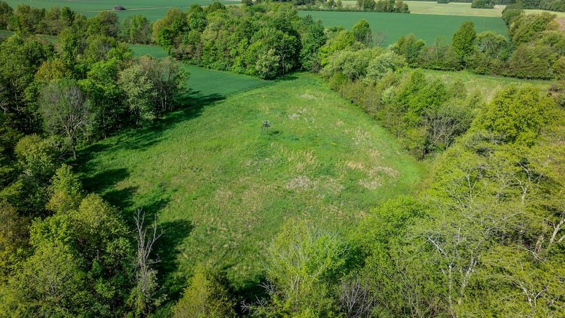 DJI_20250428084400_0046_D