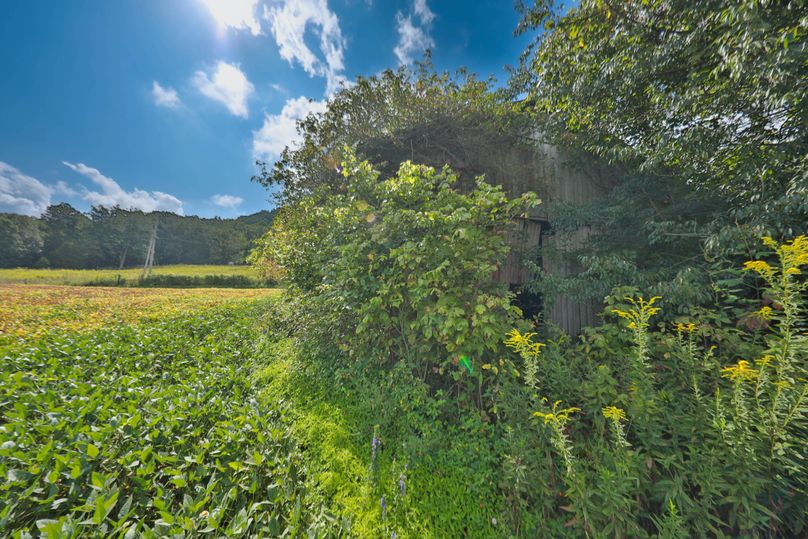 006 Back of the barn