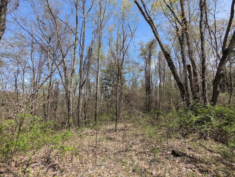 PXL_20250422_165513671