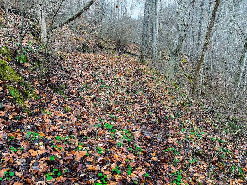 Calhoun, WV 225.69 AC Duffield-31