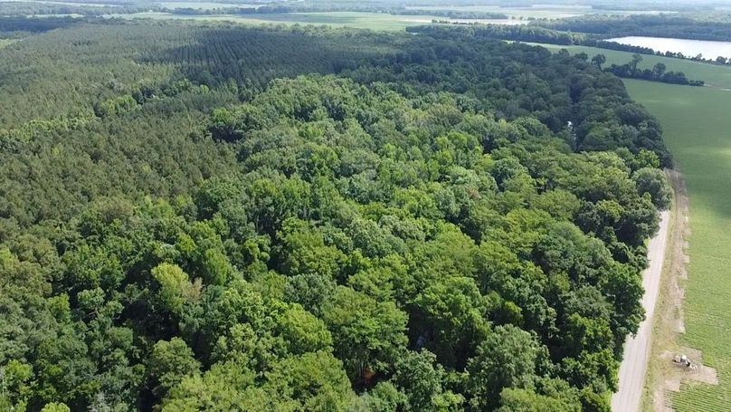 2024-06-01-10-29-49-605