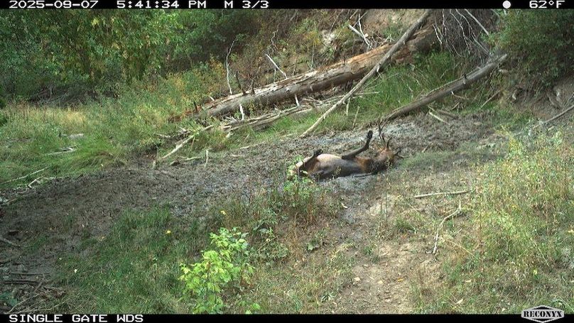 40BE22CF-AB13-46CE-A744-AFCEA5BAAEE7