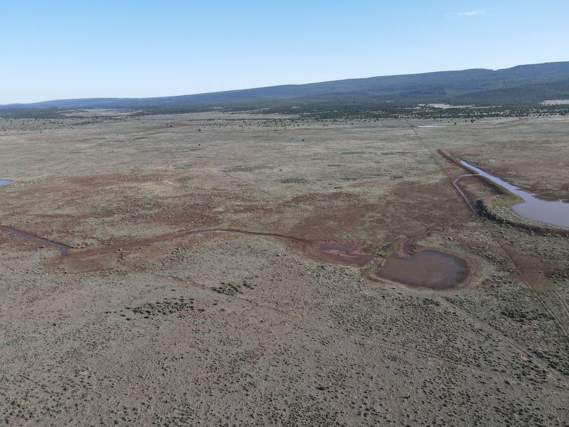 dji_fly_20240504_081014_345_1714831896263_photo