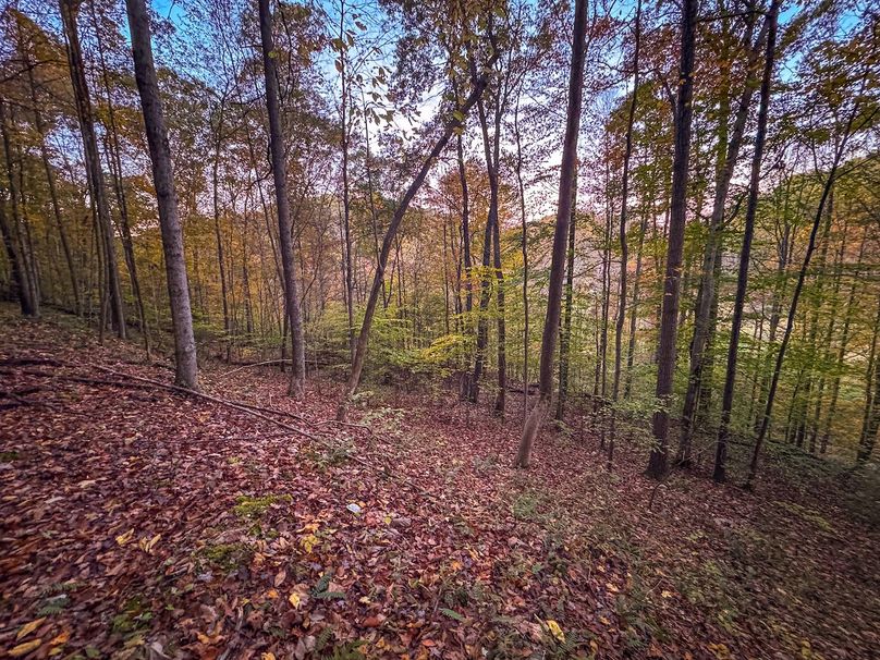 Wirt, WV 43 AC Berry-06