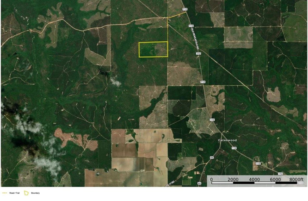 Aerial #3 Approx. 80 Acres Baldwin, AL