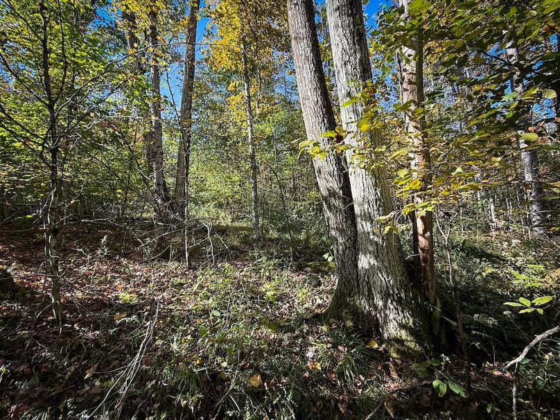 Tompkins NY 87 Allen Photos 38