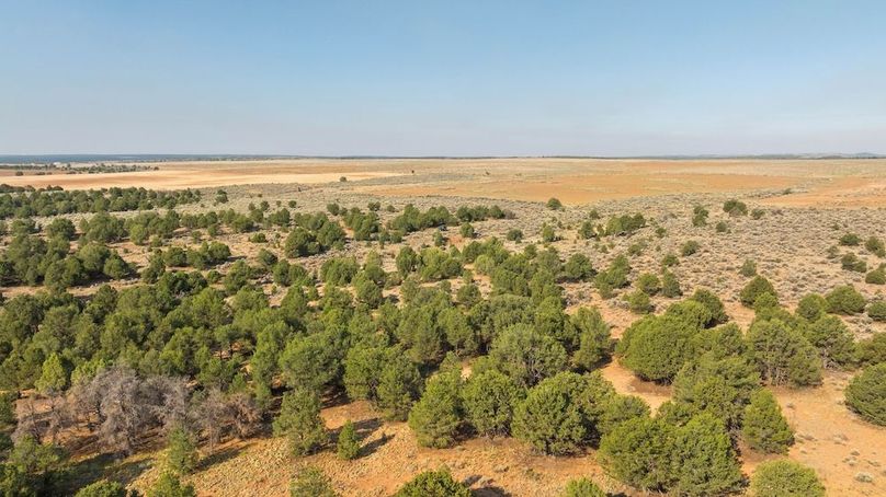 DJI_0669_1