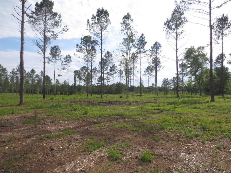 DFF6ADC4-BD02-4B5B-83BC-EC1F563AB0F0_1_105_c