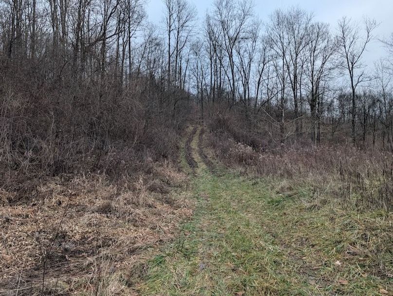 PXL_20260107_213359186