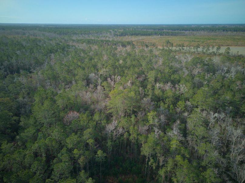 DJI_20240227082922_0022_craven60