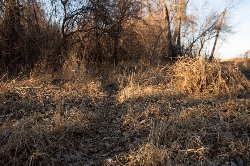 ATCHISON CO MO 56_14