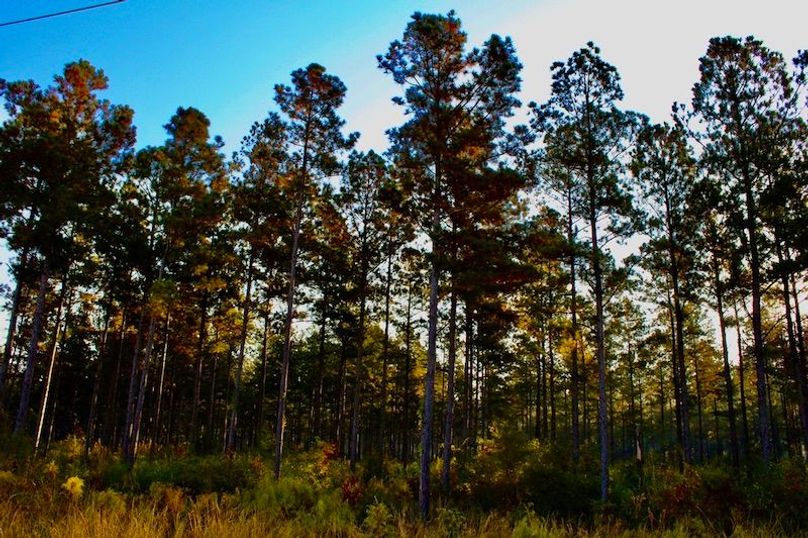 EA78B9F9-BA9D-4FC6-83DC-EC15327EABF7_1_105_c