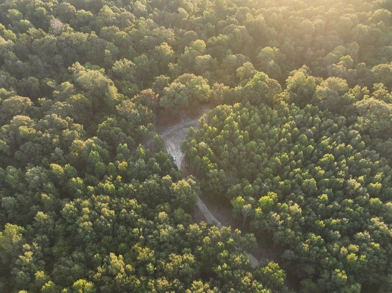 dji_fly_20250909_072412_181_1757426950583_photo