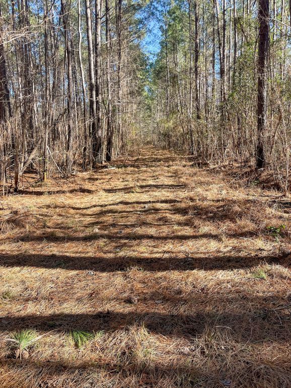 Pender NC 382 - Edits-62