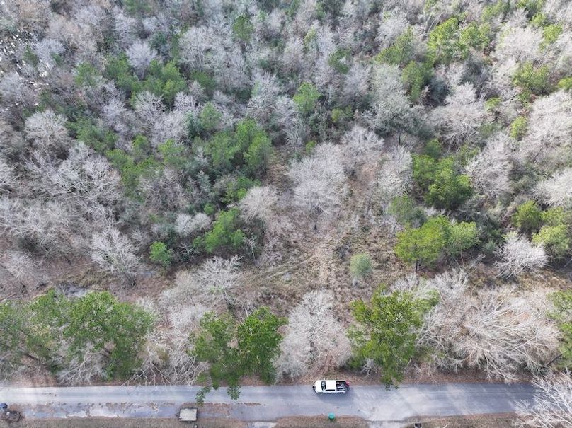 dji_fly_20260212_140850_0059_1771284242444_photo