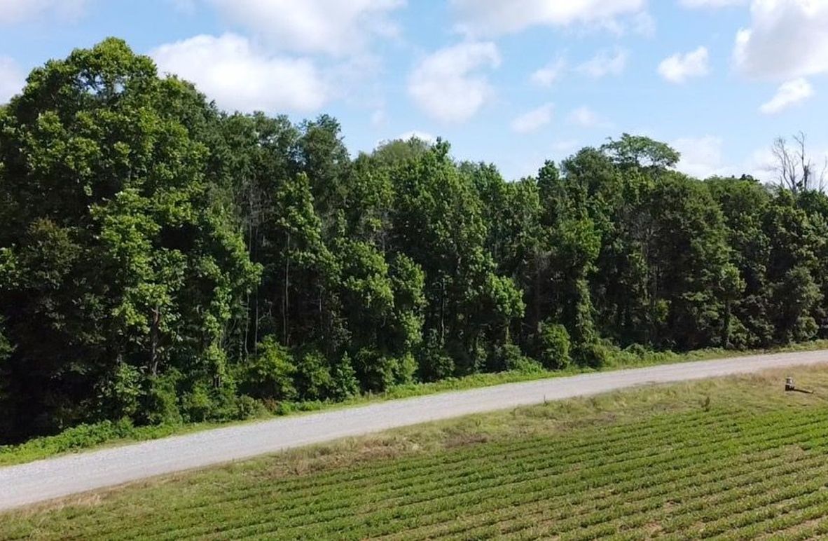 2024-06-01-10-27-54-561