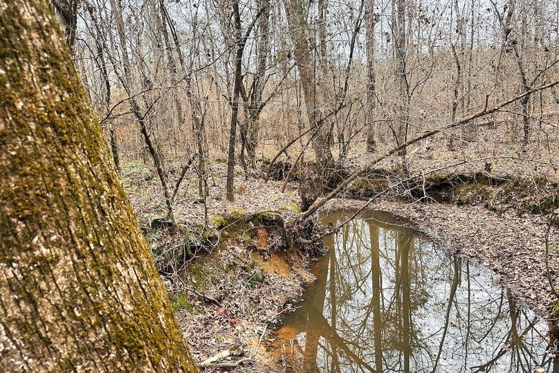 19 Creek