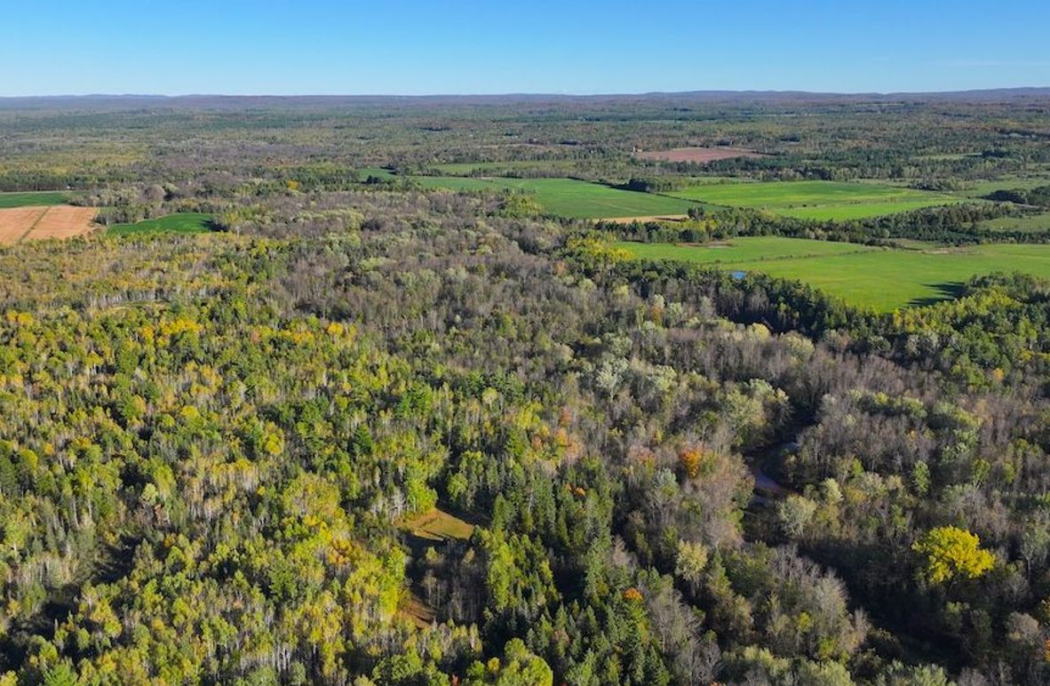 DJI_20251007164210_0010_D