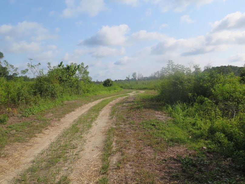 1123785E-F5EE-41AF-A33A-98EE96CD8544_1_105_c
