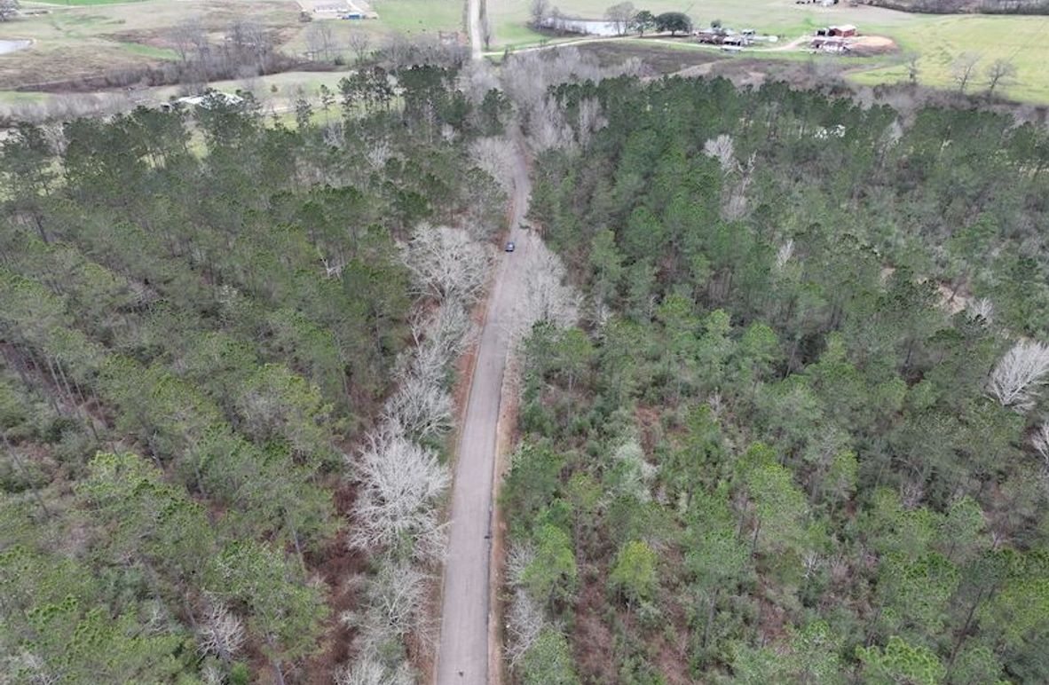 dji_fly_20260217_131808_0093_1771436913360_photo