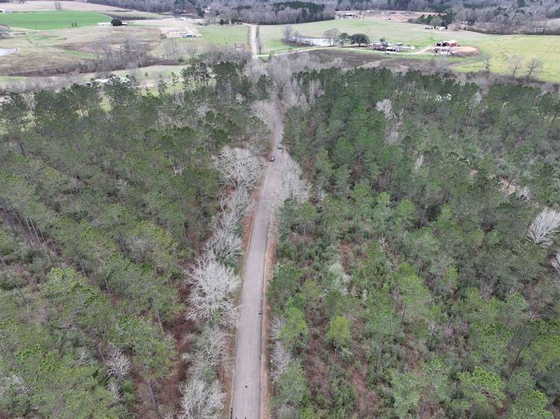 dji_fly_20260217_131808_0093_1771436913360_photo