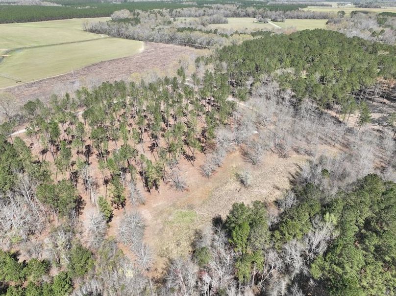 dji_fly_20240307_121120_151_1709831755809_photo