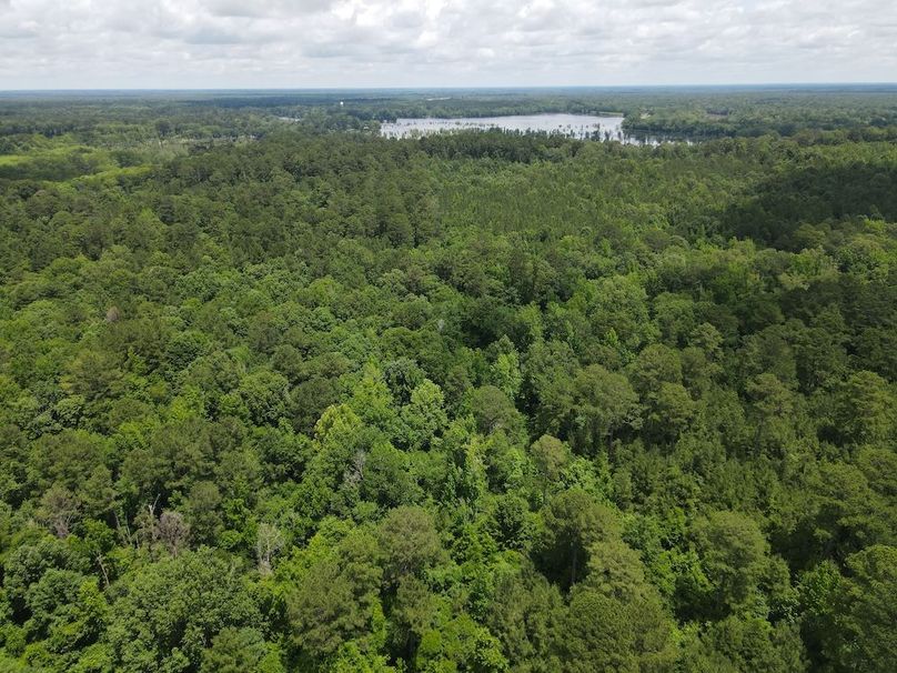DJI_0262