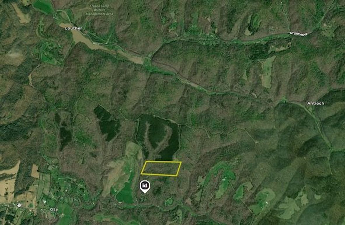 Screenshot 2026-01-29 at 1.04.40 PM