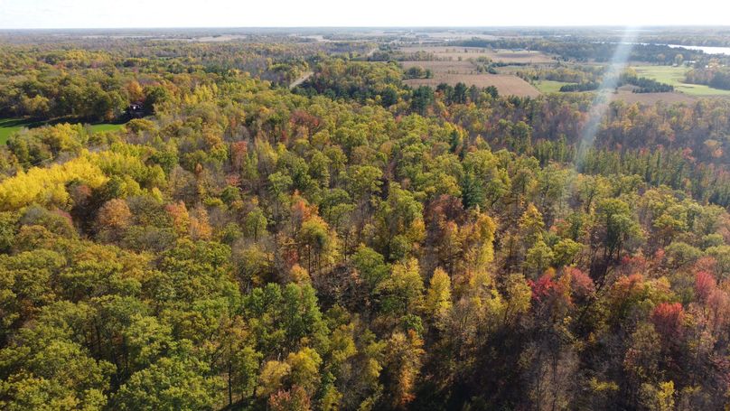 dji_fly_20231015_145008_149_1697399429496_photo_optimized