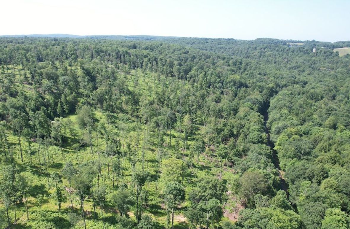 dji_fly_20250624_104150_361_1750776498335_photo