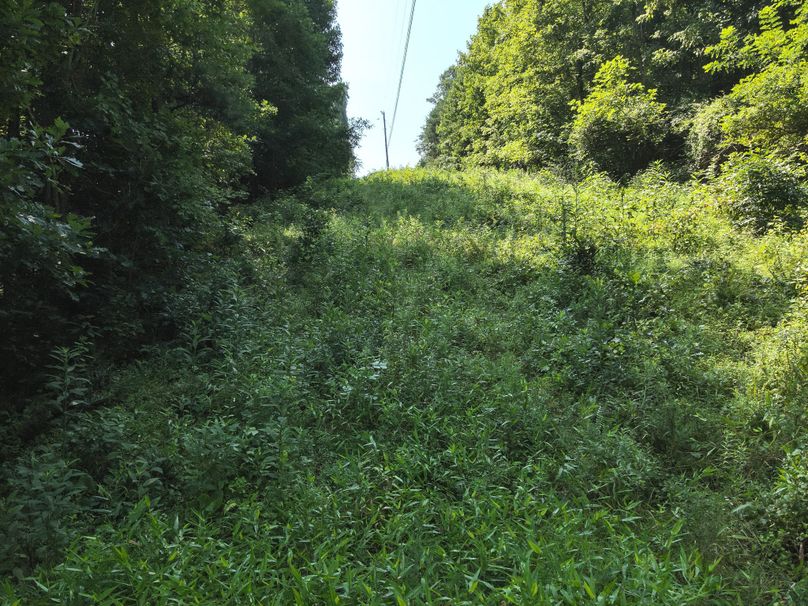 29. Powerline (18acres)