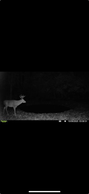 Screenshot 2026-01-06 at 4.34.50 PM