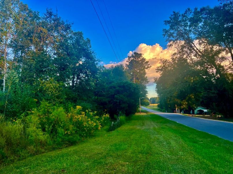 1FF870DB-2922-4E18-B97D-F417D5C0CC0D_1_201_a