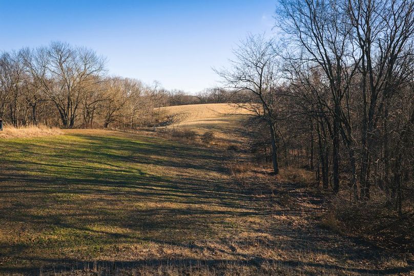 DJI_20260218161316_0626_D