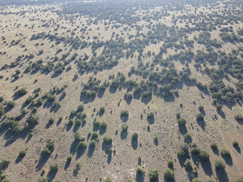 dji_fly_20240816_081220_533_1723817937482_photo