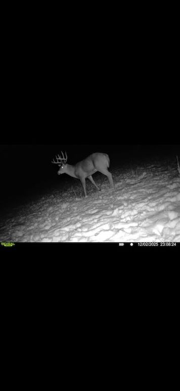 Screenshot 2026-02-27 at 4.02.56 PM