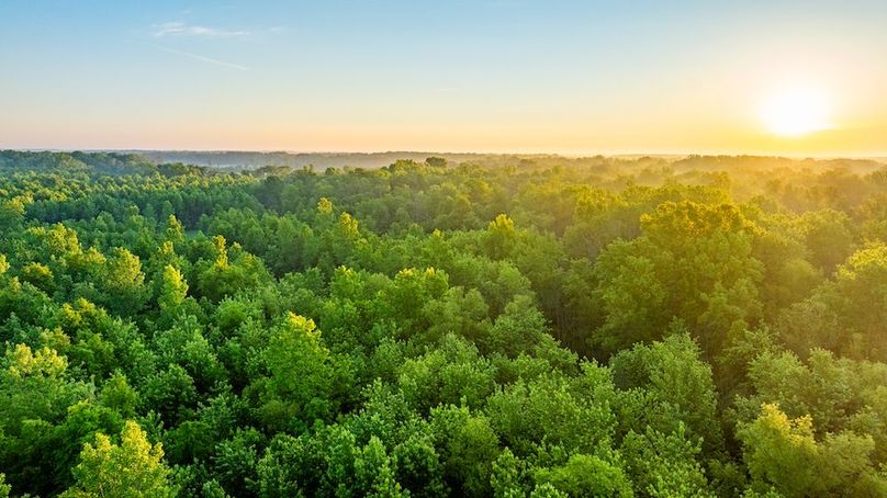 DJI_20250514053117_0015_D