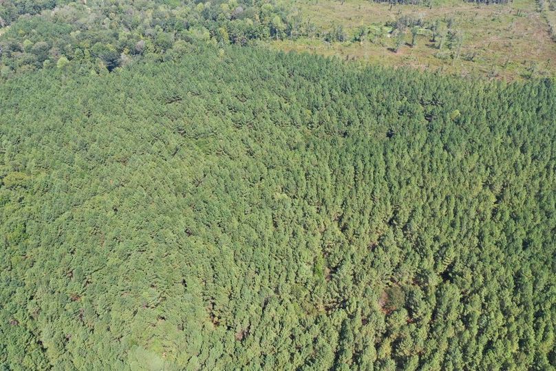 84586153-8CCD-4412-97EA-DF9A17A0CB1E_1_105_c