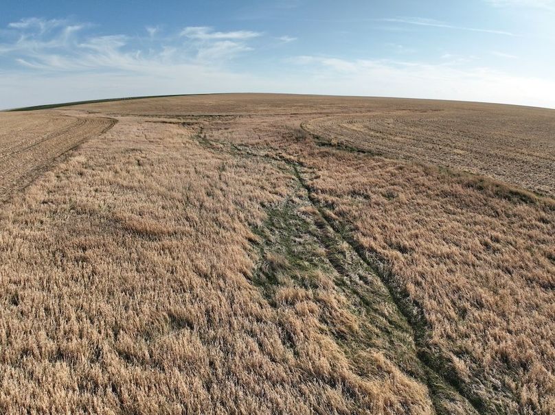 DJI_0400