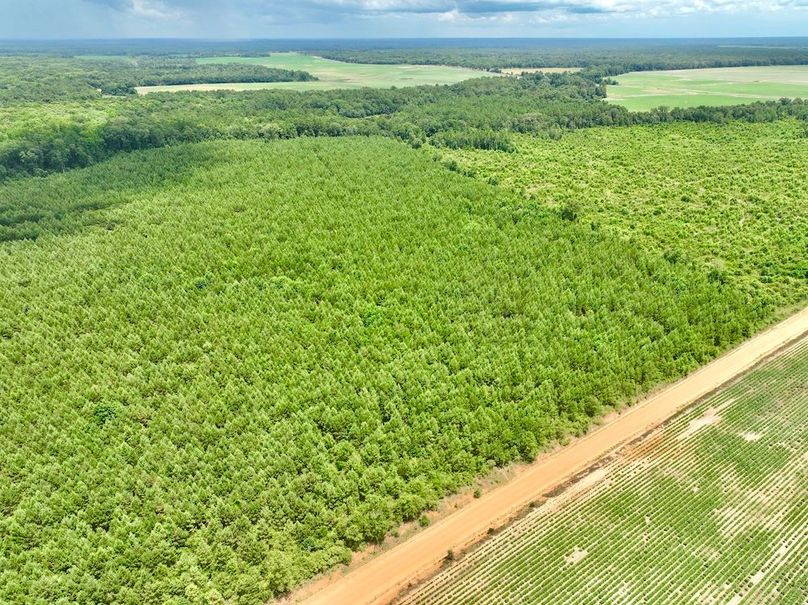 dji_fly_20240703_142650_512_1720038331990_photo