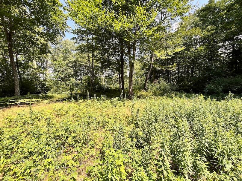 Oswego_100_Roof_Photos_51