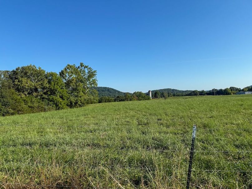 Fleming 32.98 new pic -02