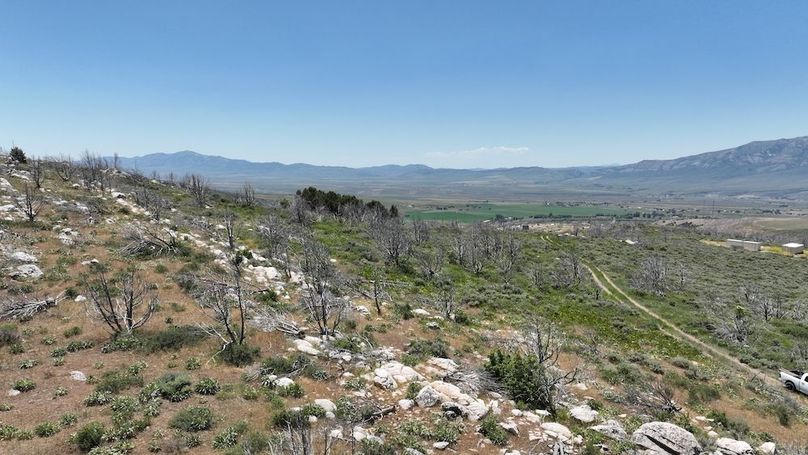DJI_0440