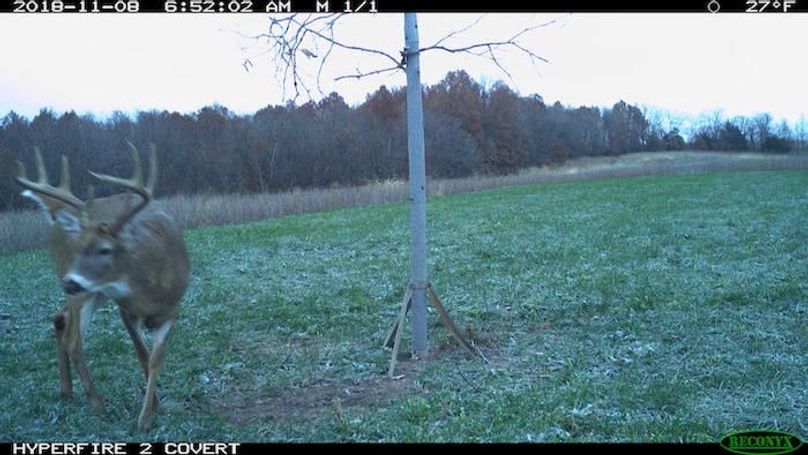 2018-11-08 06-52-02 M 1_1