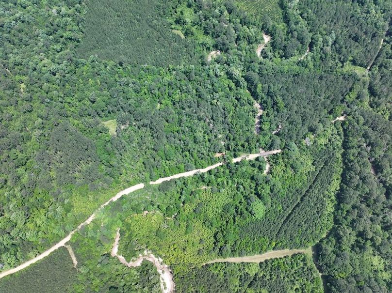 dji_fly_20260518_101712_0200_1779205359451_photo