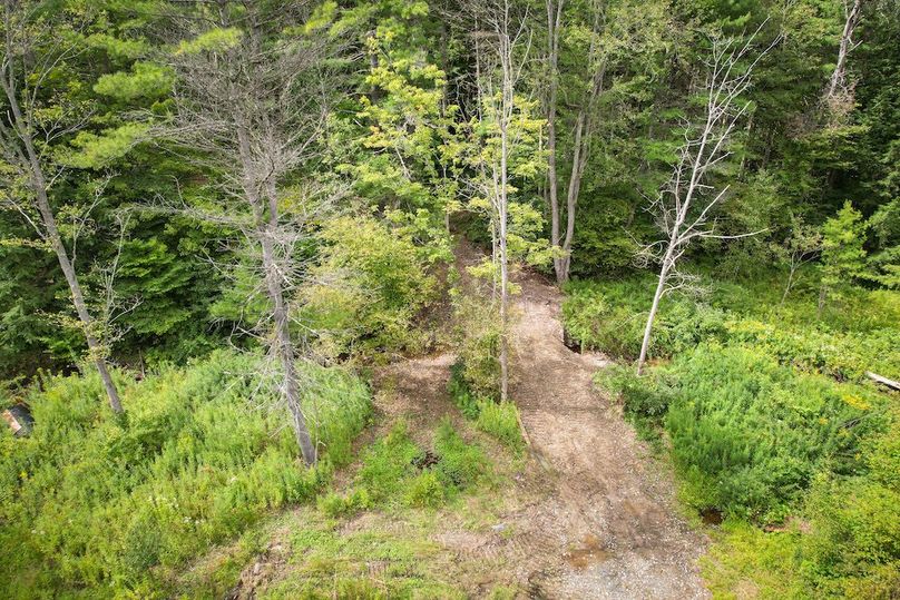 Chemung_60.55_Baumunk_Photos_13