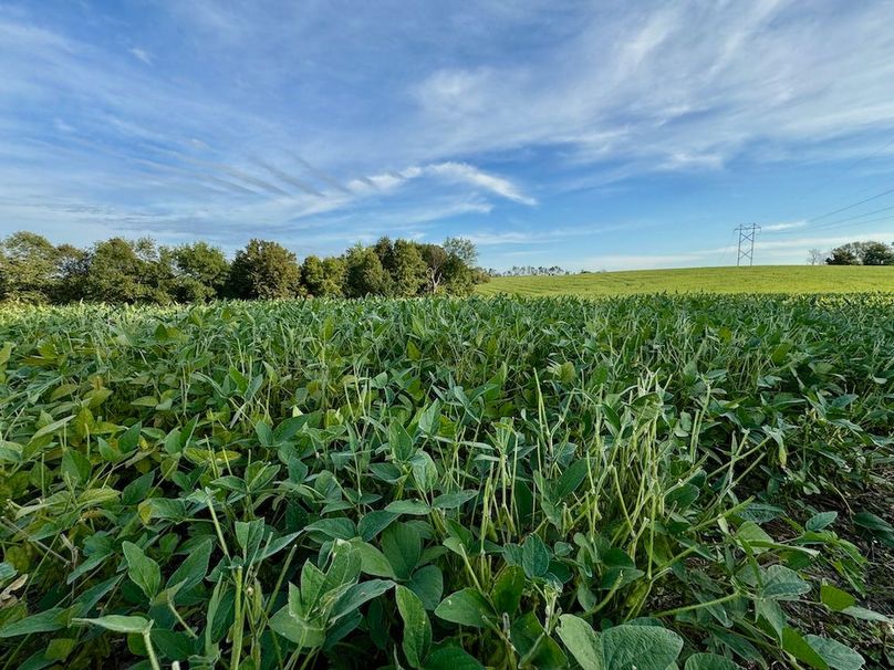 Richland 199Ground - 21